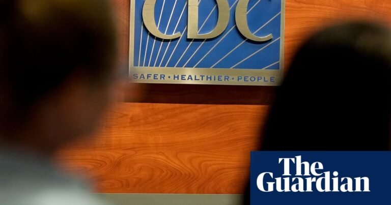 US pediatricians criticize RFK Jr’s new vaccine panel: ‘Truly an embarrassment’ | Robert F Kennedy Jr
