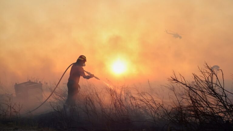 Athens suburb residents told to evacuate as wildfires in Greece spread | Environment News