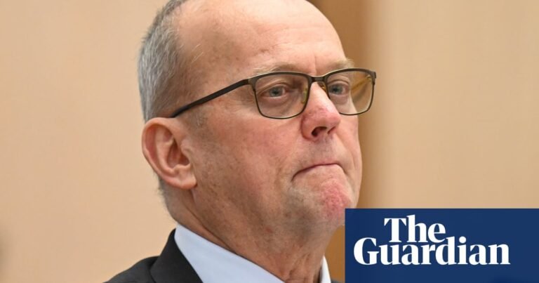 Creative Australia chief executive facing mounting pressure to resign after Khaled Sabsabi controversy | Creative Australia