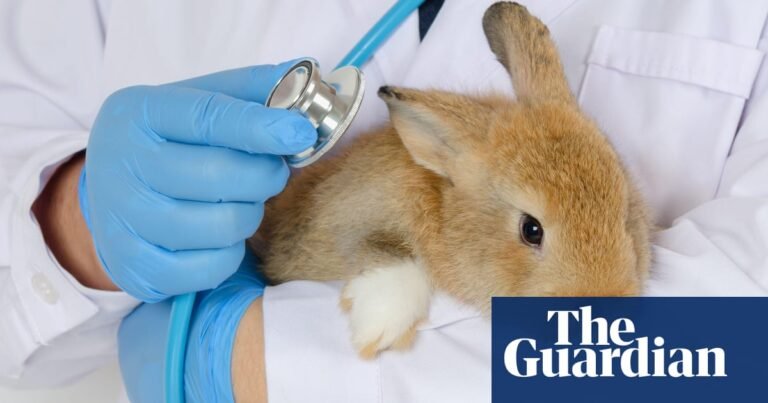 EPA to launch program that lets people adopt its lab animals amid Trump cuts | Trump administration