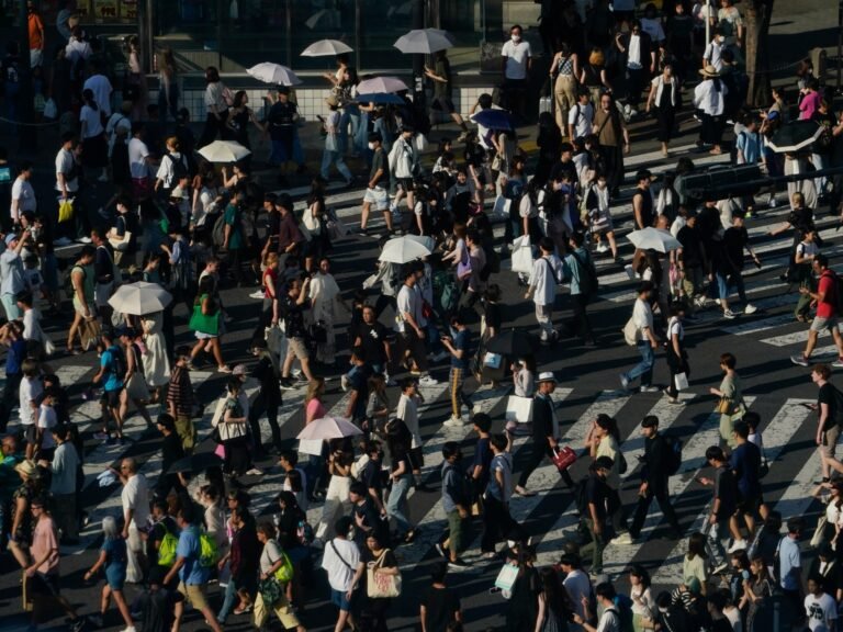 Japan records highest temperature on record | Climate Crisis News