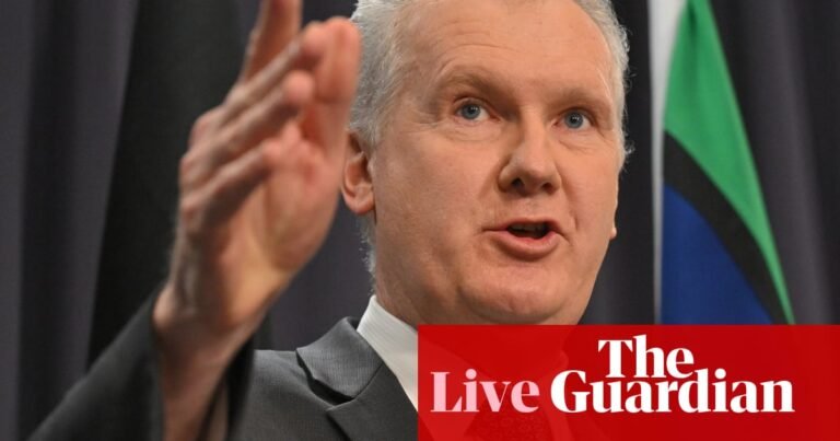 News live: Tony Burke calls Melbourne synagogue fire an ‘attack on Australia’ and welcomes arrests | Australia news