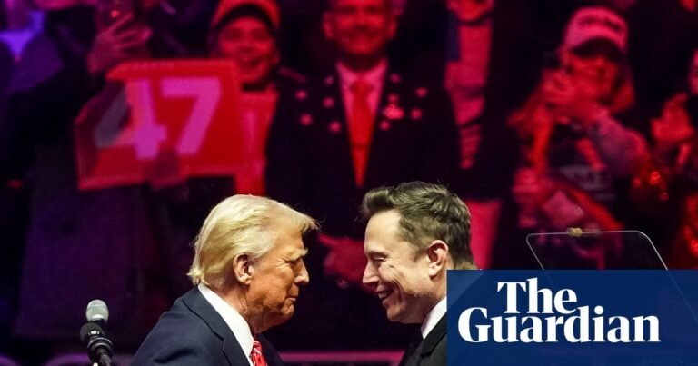 Tesla shares dive as investors fear new Elon Musk political party will damage brand | Tesla