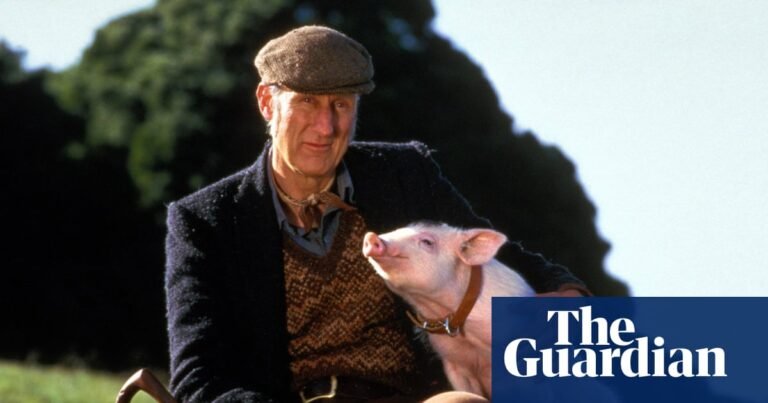 ‘I went vegan on the second day of filming’: James Cromwell on making Babe, the talking pig classic | Film