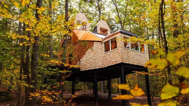 17 Best Airbnbs for Enjoying Fall Foliage, From Vermont to Colorado