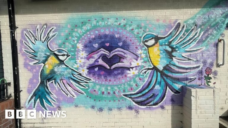 Artists help Tamworth pupils and cancer centre users create murals