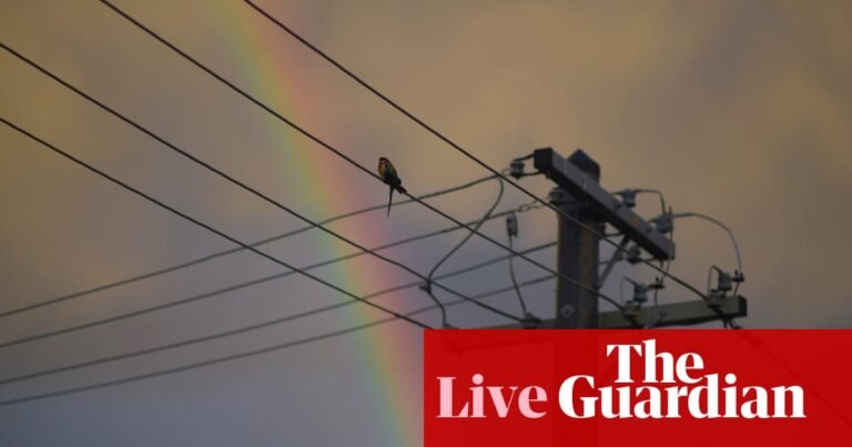 Australia news live: major flood in Gunnedah as SES issues warnings for central coast; police reveal Gaza march fears | Australia news