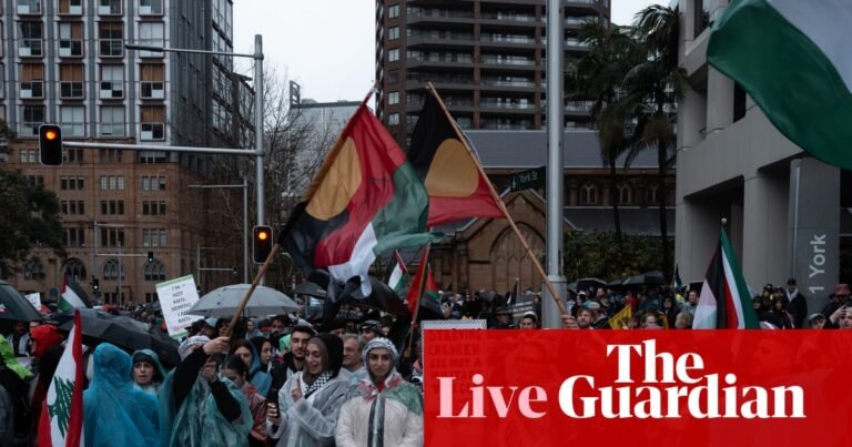 Australia news live: ‘thank you for defying Chris Minns’, Faruqi says, as massive crowds gather ahead of pro-Palestine march across Harbour Bridge | Australia news