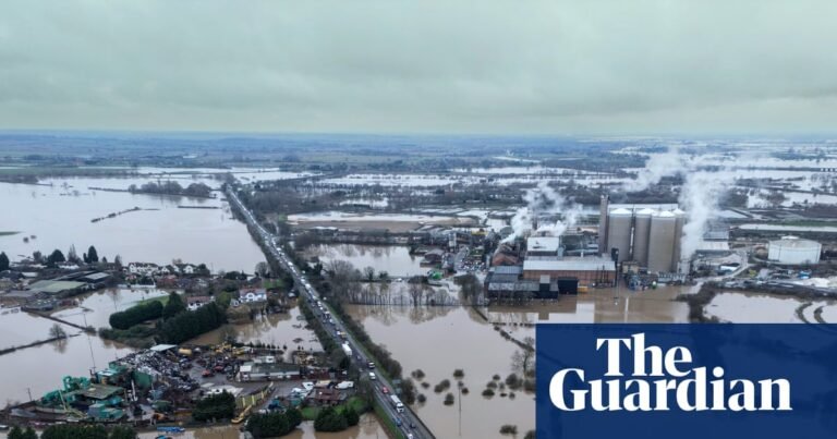 Aviva stands by climate goals in face of US and UK net zero pushback | Aviva