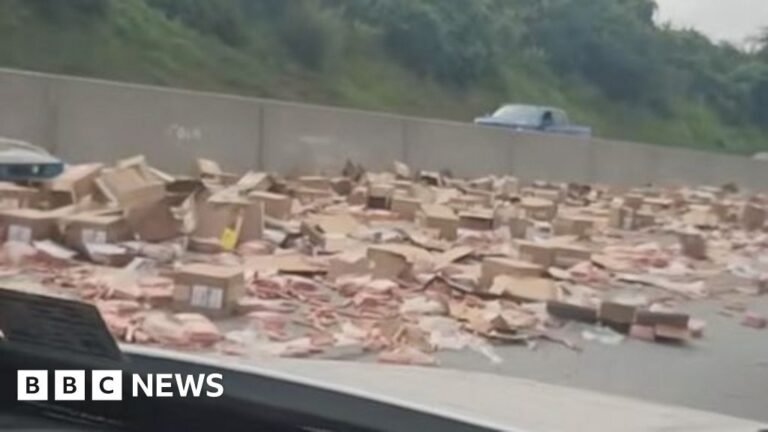 Hot dog spill brings US highway to standstill