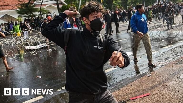 Indonesia protesters clash with police after death of taxi driver