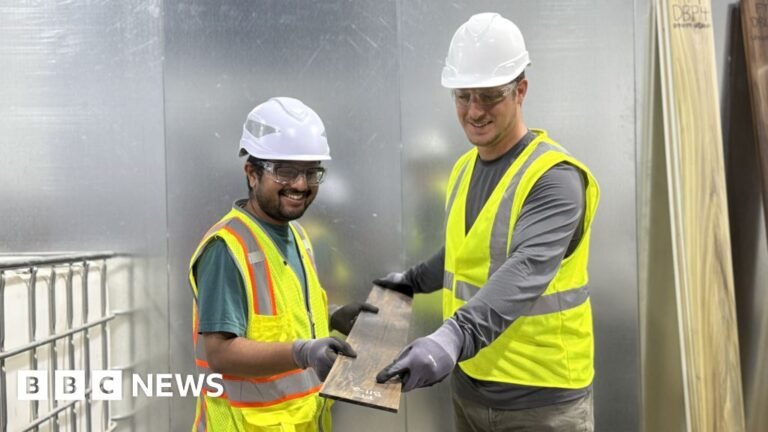 New types of engineered wood are ready for building sites