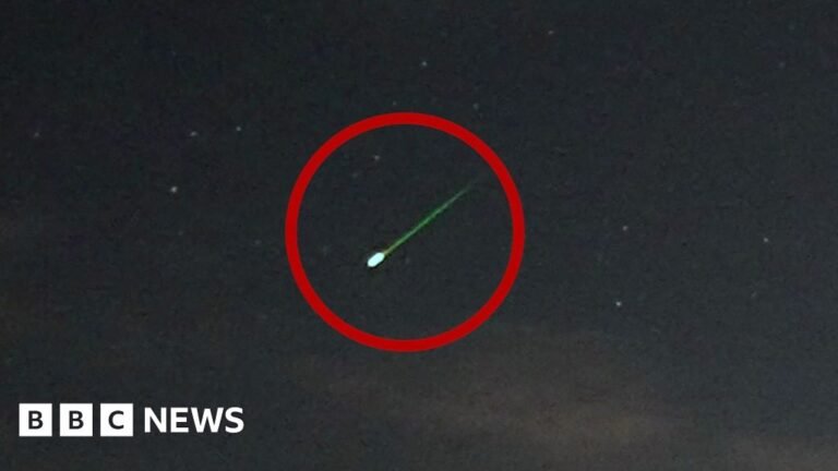 Perseids meteor shower lights up night skies