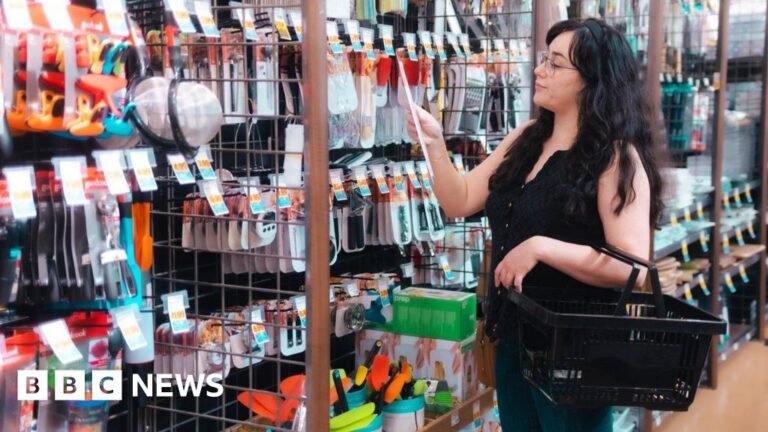 US inflation holds but underlying prices creep up