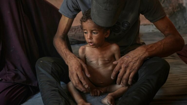 Why are Israelis ‘not at all troubled’ by starvation in Gaza? | Israel-Palestine conflict News