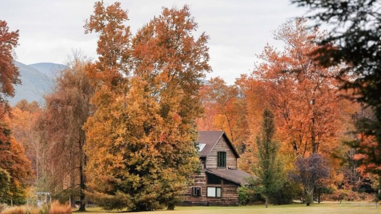 30 Best Airbnbs in Upstate New York for a Weekend Away from the City 2025