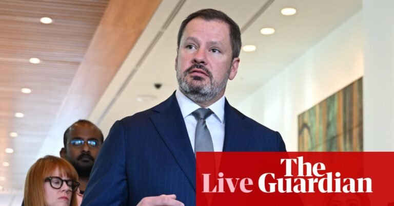 Australia politics live: ‘I have not seen a good fascist yet’, Husic says after PM’s remark that ‘good people’ attended anti-immigration rallies | Australia news