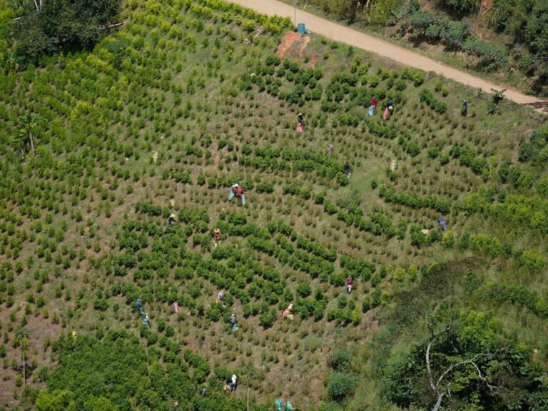 Colombian military rescues 27 abducted soldiers, dozens remain captive | Armed Groups News