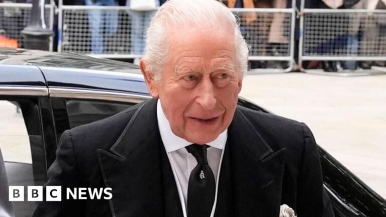 King arrives but ill Queen Camilla misses Duchess of Kent's funeral