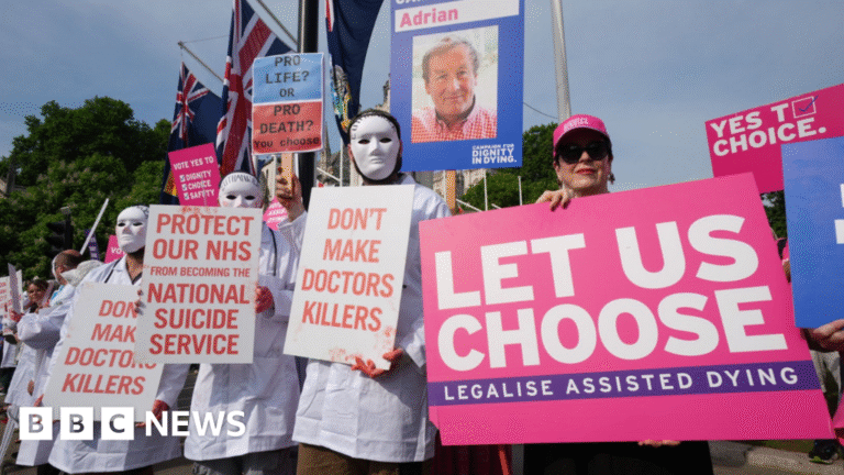 Lords urged to scrutinise but not block assisted dying law