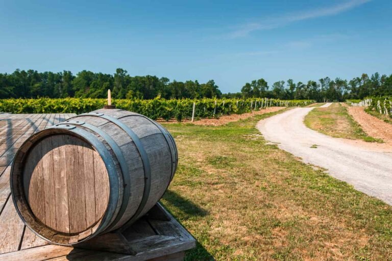 Prince Edward County Has Long Been a Favorite Among Locals in Canada—How to Visit