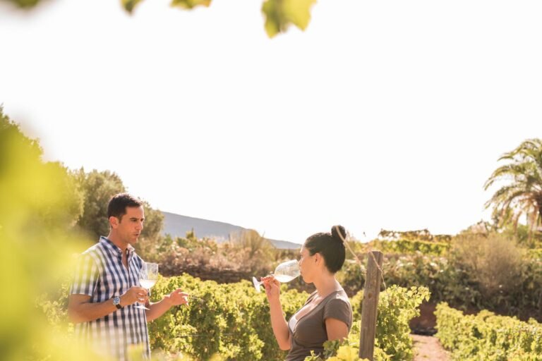 These Under-the-radar Wine Regions in Spain Have Some of the Best Vineyards in the World