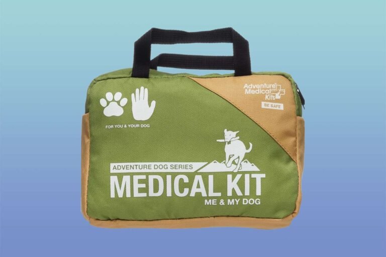 This First Aid Kit for Dogs Is a Pet Travel Essential