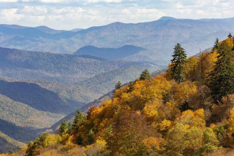 This Interactive Fall Foliage Map Will Tell You Exactly When and Where Leaves Will Peak in 2025