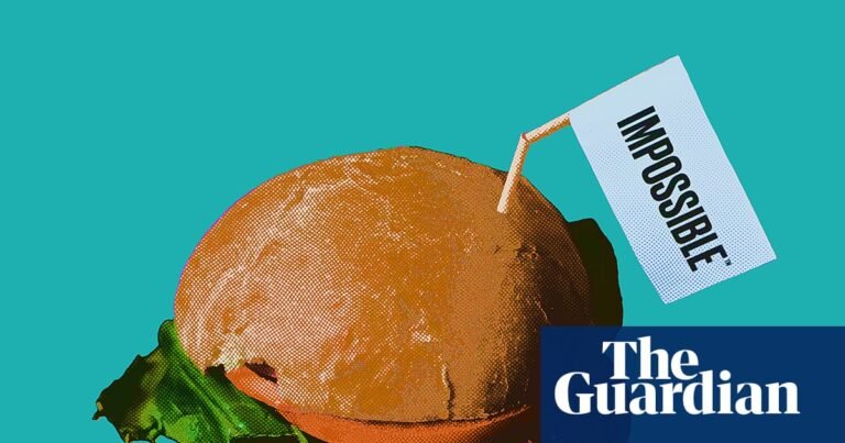 Why vegan burgers are losing the US culture war over meat: ‘Not our moment’ | Food