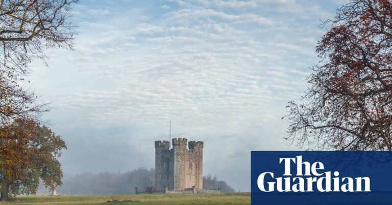 ‘All of Sussex is laid out before us’: walking a new trail in the South Downs national park | Walking holidays