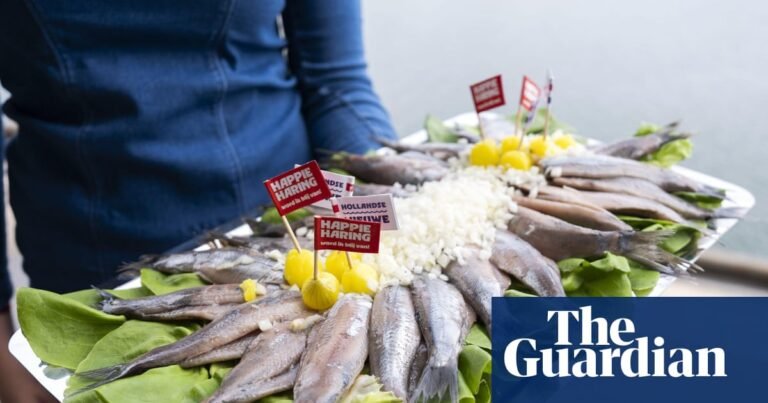 ‘True flavours and honest hospitality’: readers’ favourite food experiences in Europe | Food and drink